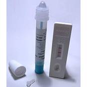 Alltest Helicobacter-pylori-Antigen-Schnelltest Vergleich