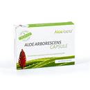 Aloe-beta Aloe Arborescens