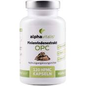 alphavitalis Pinienrindenextrakt OPC