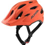 ALPINA Unisex - Kinder, CARAPAX Vergleich