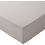 Amazon Basics Spannbettlaken 140 x 200 cm