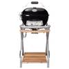 Outdoorchef Ambri 480 G