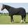Amesbichler Reitsport Harry`s Horse Fleecedecke