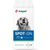 Amigard Spot-On