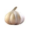 Amorebio Pflanzknoblauch