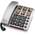 Amplicomms BIGTel 40 Plus