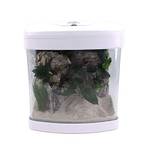 Amtra Technik Nano Aquarium Xcube