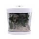 Amtra Technik Nano Aquarium Xcube Test