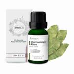 Amyron Ätherisches Lorbeeröl