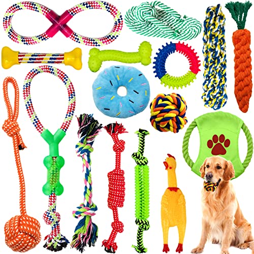 Robustes Hundespielzeug: Top 10 Test & Vergleich