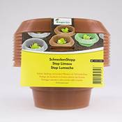Andermatt Biogarten AG SchneckenStopp PP