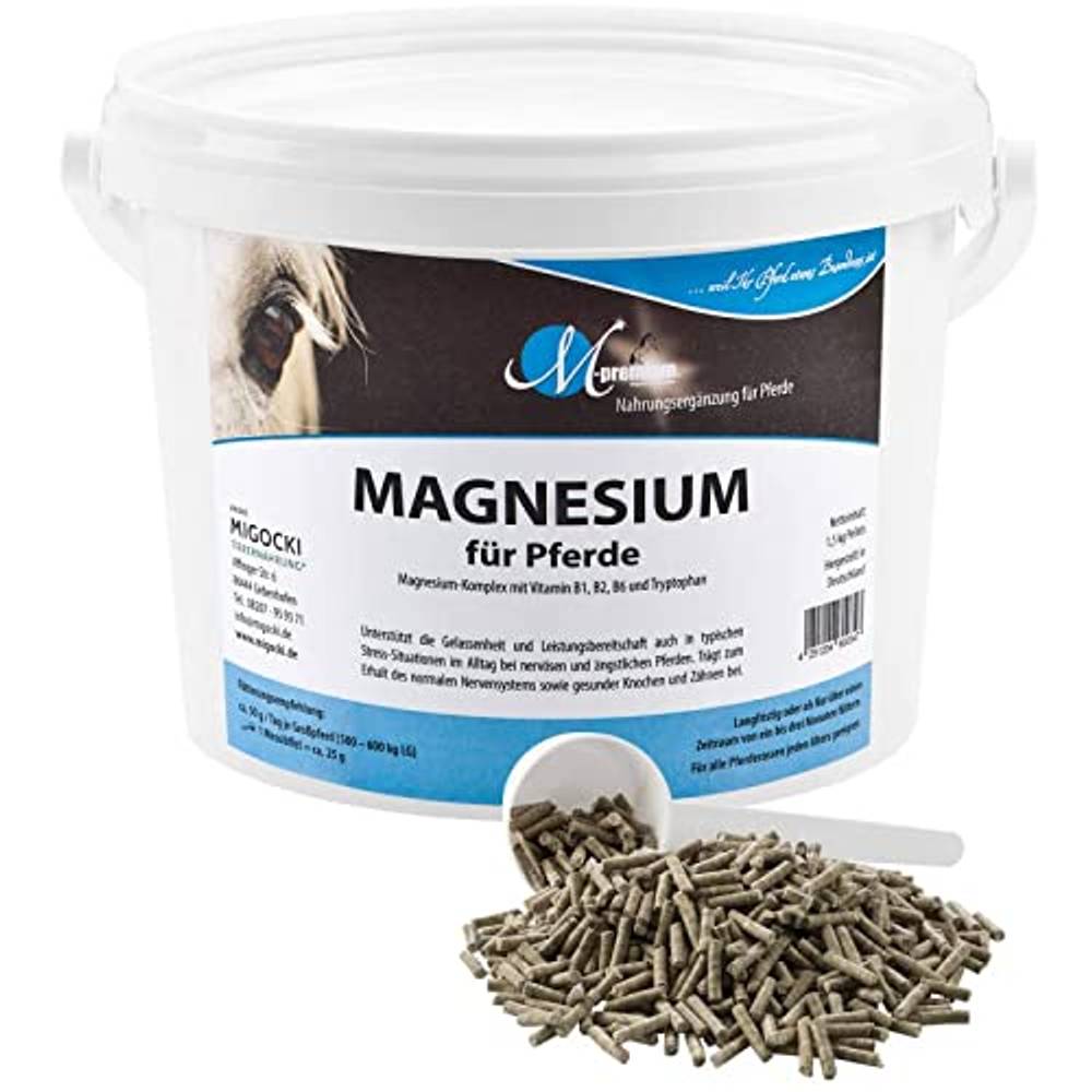 Magnesium Pferd Test & Vergleich » Top 15 im Oktober 2024