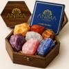 Anima Premium 7 Chakra Kristalle