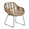 Animal-design s70064
