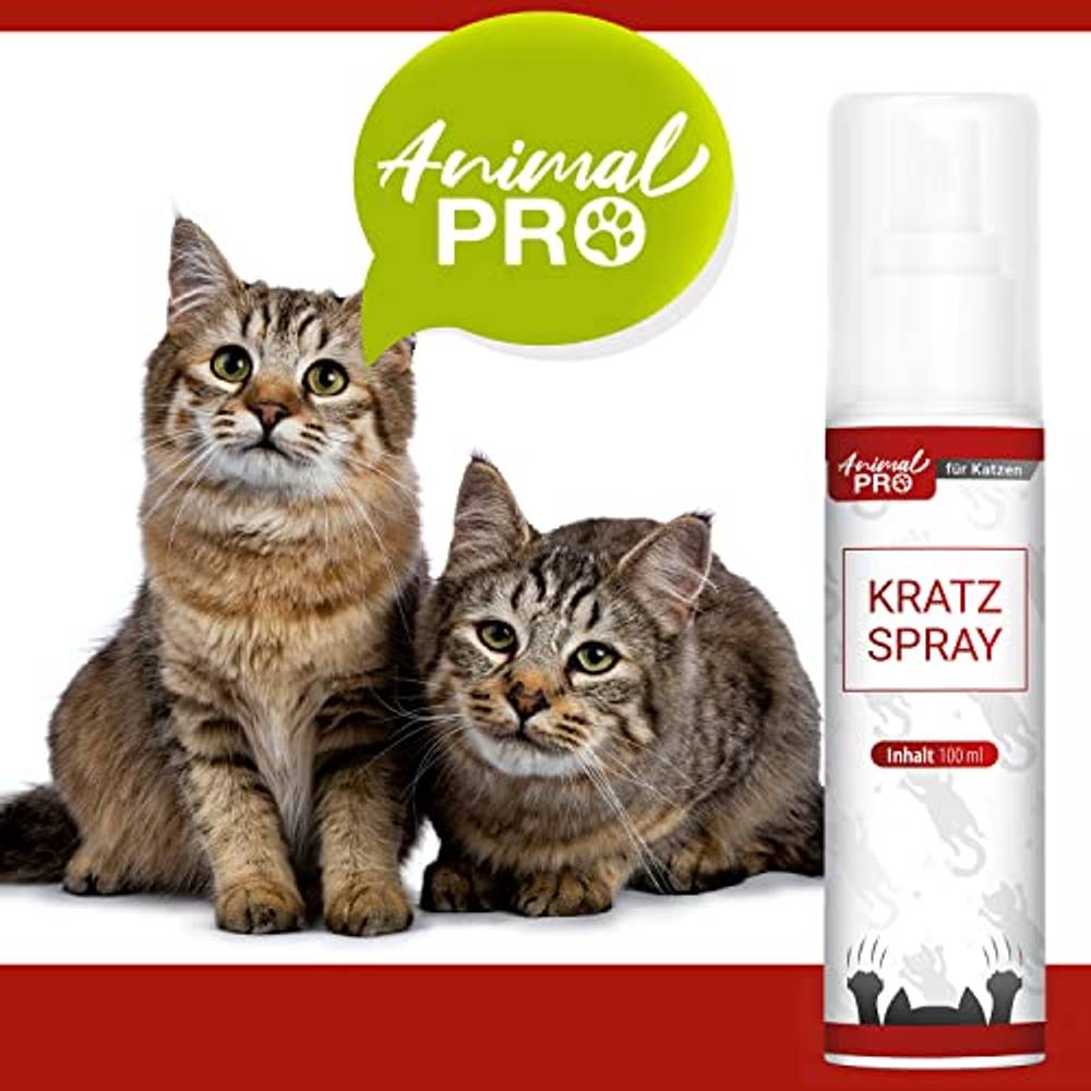 Anti Kratz Spray Katzen
