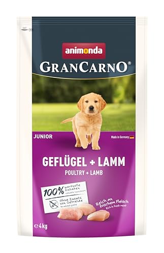 Getreidefreies Welpenfutter: Top 10 Test & Vergleich