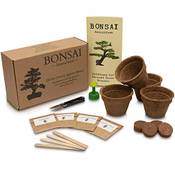 Anista-Industries Bonsai Anzuchtset Vergleich
