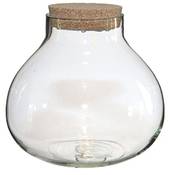 Annastore Pflanz-Terrarium Enna Vergleich