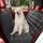 Anowlo Hundedecke