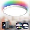 Antenlicht LED Deckenlampe Smart