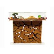 Anthillshop Ameisenfarm T