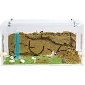 AntHouse Acryl Starter Set  Vergleich