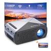 ‎Antmap VF290