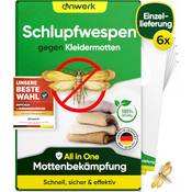 Anwerk Schlupfwespen