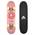 Apollo Skateboard
