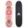Apollo Skateboard
