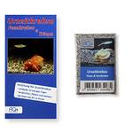 AQ4 Urzeitkrebse Mix - Triops UND Feenkrebse
