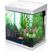 Nobleza - Nano-Fischtank Aquarium