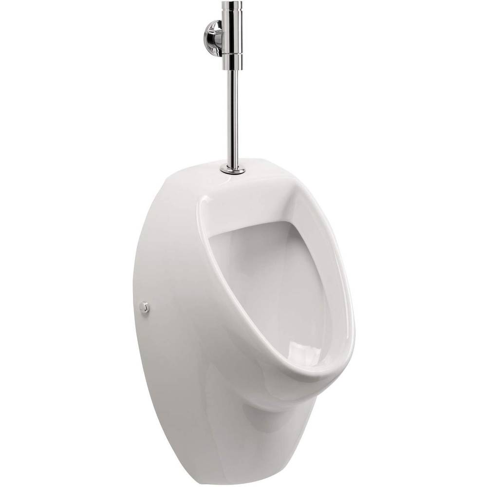 Urinal kaufen Test & Vergleich » Top 11 im Oktober 2024