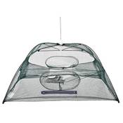 Arapaima Fishing Equipment Aalreuse Vergleich
