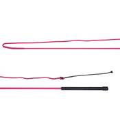 Arbo Inox Longierpeitsche