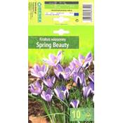 Argonom Spring Beauty Vergleich