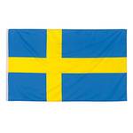 Aricona Schweden-Flagge