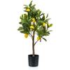 Artplants.de Kunst Zitronenbaum