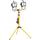 As-Schwabe 46795