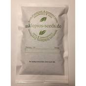 Asklepios-seeds Riesenbambus Vergleich