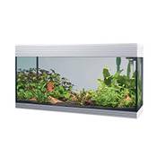 Askoll Aa350052