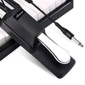 Asmuse Universal Sustain Pedal Vergleich