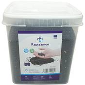 Atc Handels GmbH Rapssamen