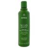 Aveda Be Curly Advanced Shampoo