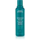 Aveda Botanical Repair