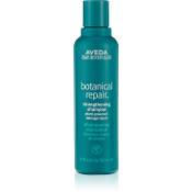 Aveda Botanical Repair