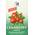 avitale Cranberry Kapseln