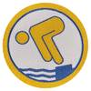 Axionmarkt Schwimmabzeichen Gold