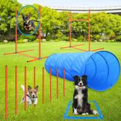 Aystkniet Agility Set Vergleich