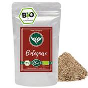 Azafran Bolognese